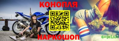 эйфоретик Кингисепп